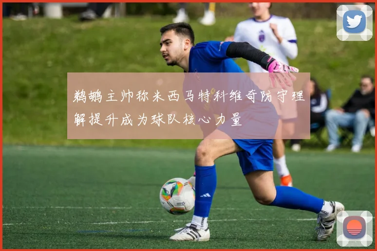 鹈鹕主帅称米西马特科维奇防守理解提升成为球队核心力量